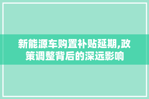 新能源车购置补贴延期,政策调整背后的深远影响