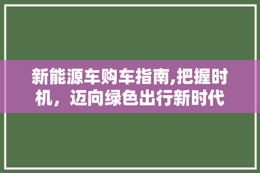 新能源车购车指南,把握时机，迈向绿色出行新时代