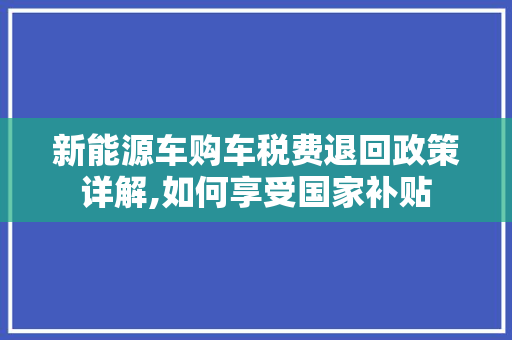 新能源车购车税费退回政策详解,如何享受国家补贴