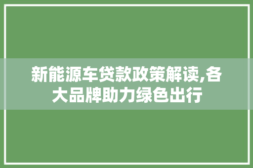 新能源车贷款政策解读,各大品牌助力绿色出行