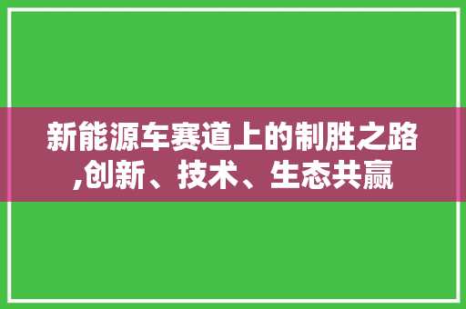 新能源车赛道上的制胜之路,创新、技术、生态共赢