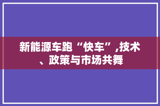 新能源车跑“快车”,技术、政策与市场共舞
