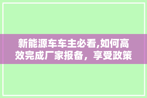 新能源车车主必看,如何高效完成厂家报备，享受政策红利