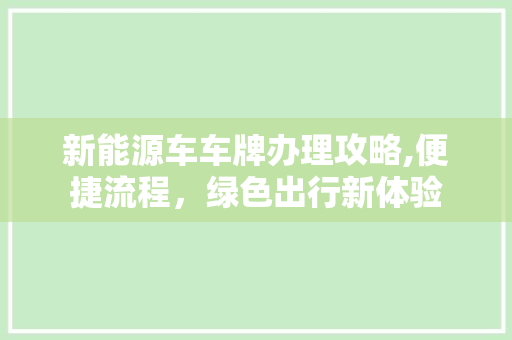 新能源车车牌办理攻略,便捷流程，绿色出行新体验