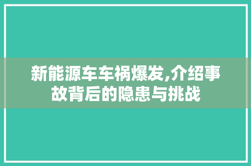 新能源车车祸爆发,介绍事故背后的隐患与挑战