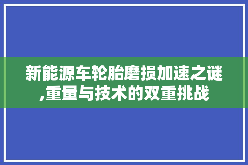 新能源车轮胎磨损加速之谜,重量与技术的双重挑战