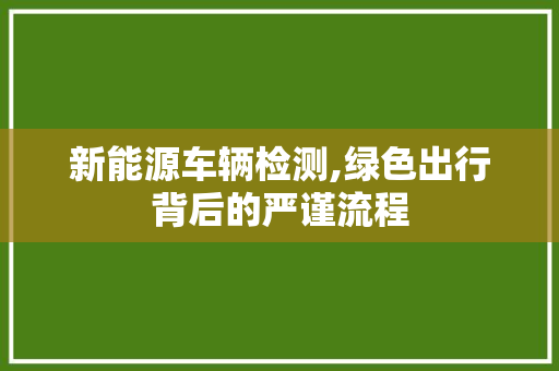 新能源车辆检测,绿色出行背后的严谨流程