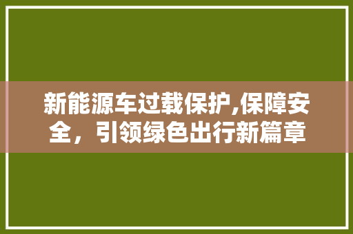 新能源车过载保护,保障安全，引领绿色出行新篇章