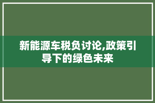 新能源车税负讨论,政策引导下的绿色未来