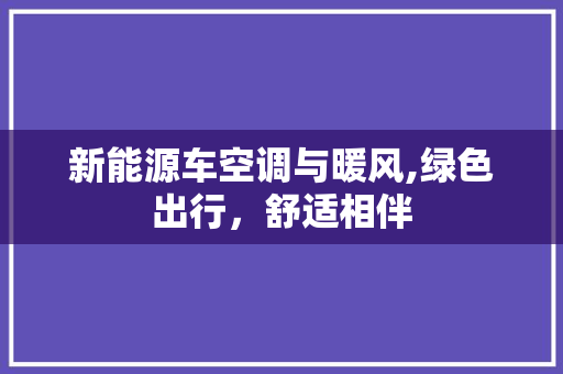 新能源车空调与暖风,绿色出行，舒适相伴