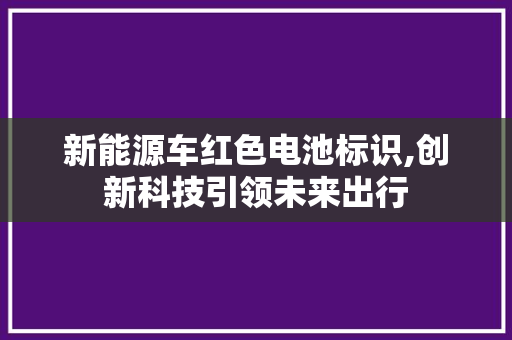 新能源车红色电池标识,创新科技引领未来出行