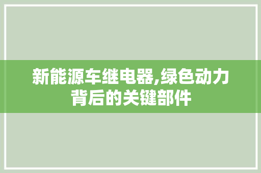 新能源车继电器,绿色动力背后的关键部件
