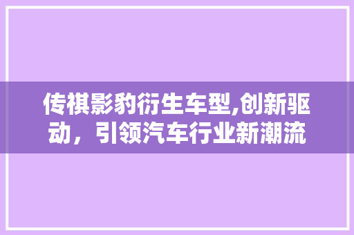 传祺影豹衍生车型,创新驱动，引领汽车行业新潮流