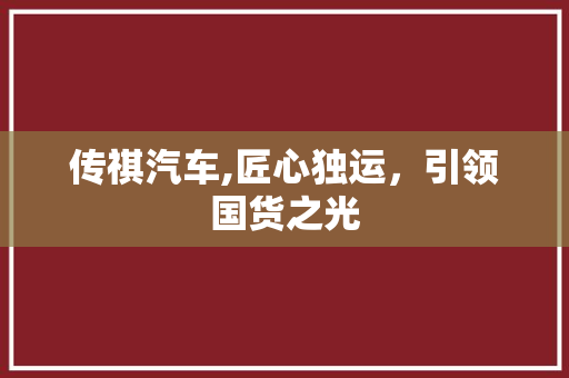 传祺汽车,匠心独运，引领国货之光