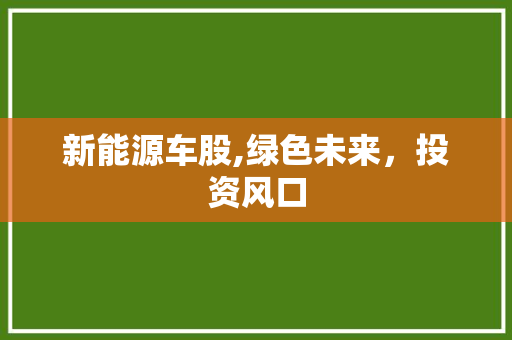 新能源车股,绿色未来，投资风口
