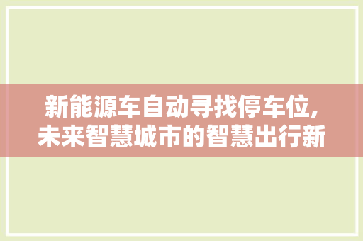 新能源车自动寻找停车位,未来智慧城市的智慧出行新选择