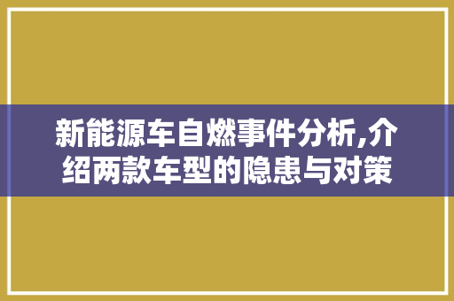 新能源车自燃事件分析,介绍两款车型的隐患与对策