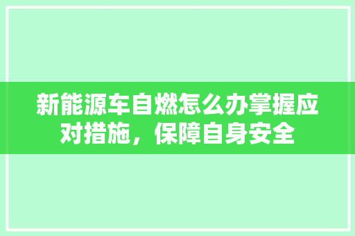 新能源车自燃怎么办掌握应对措施，保障自身安全