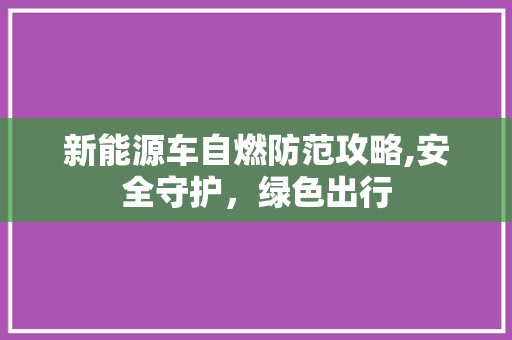 新能源车自燃防范攻略,安全守护，绿色出行