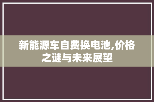 新能源车自费换电池,价格之谜与未来展望