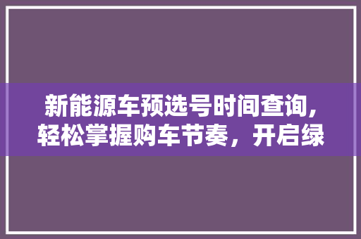 新能源车预选号时间查询,轻松掌握购车节奏，开启绿色出行新时代