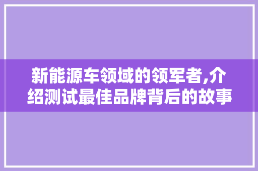 新能源车领域的领军者,介绍测试最佳品牌背后的故事