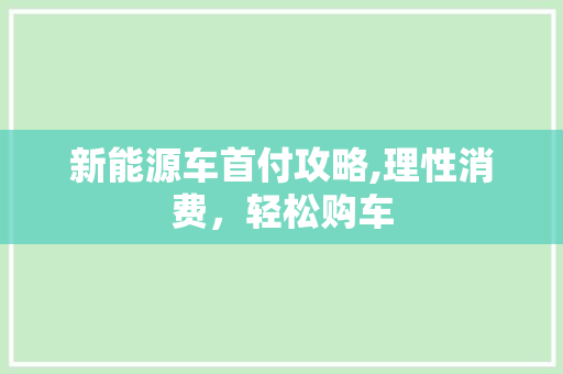 新能源车首付攻略,理性消费，轻松购车