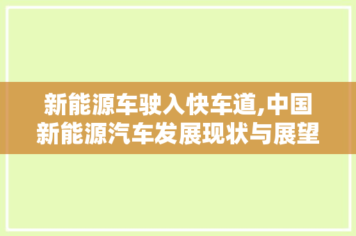 新能源车驶入快车道,中国新能源汽车发展现状与展望