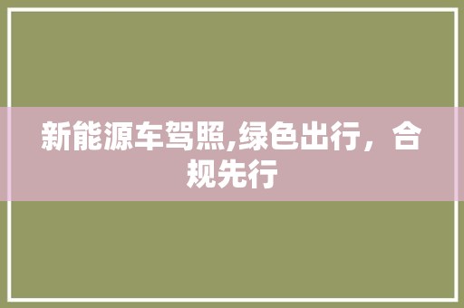 新能源车驾照,绿色出行，合规先行