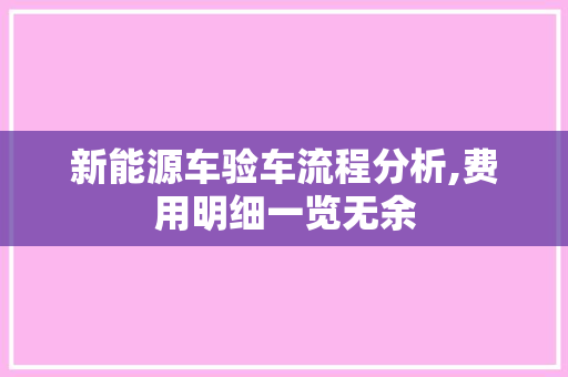 新能源车验车流程分析,费用明细一览无余