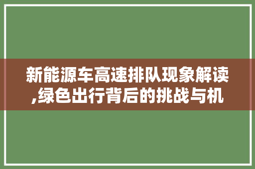 新能源车高速排队现象解读,绿色出行背后的挑战与机遇