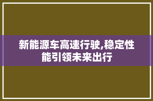 新能源车高速行驶,稳定性能引领未来出行