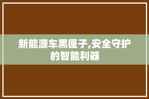 新能源车黑匣子,安全守护的智能利器