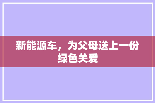 新能源车，为父母送上一份绿色关爱
