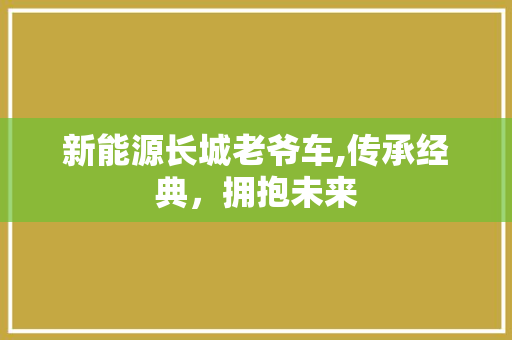 新能源长城老爷车,传承经典，拥抱未来