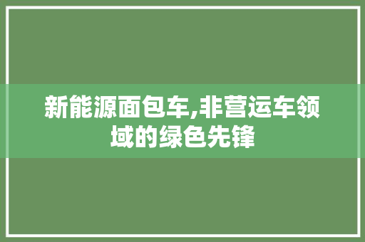 新能源面包车,非营运车领域的绿色先锋