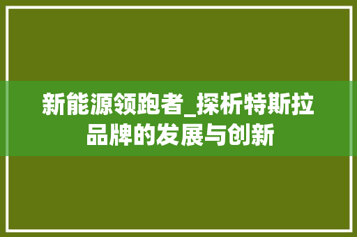 新能源领跑者_探析特斯拉品牌的发展与创新