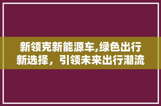 新领克新能源车,绿色出行新选择，引领未来出行潮流