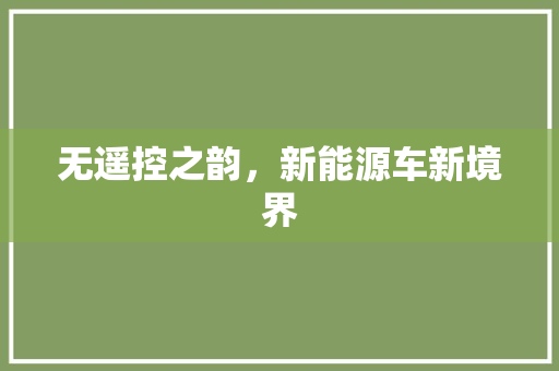 无遥控之韵，新能源车新境界