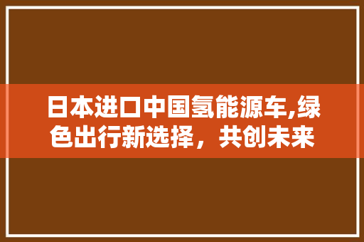 日本进口中国氢能源车,绿色出行新选择，共创未来