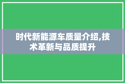 时代新能源车质量介绍,技术革新与品质提升
