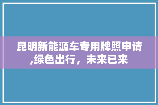 昆明新能源车专用牌照申请,绿色出行，未来已来