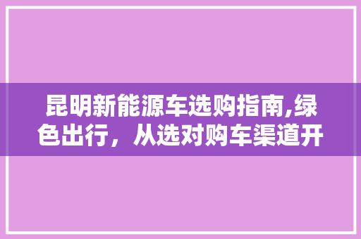 昆明新能源车选购指南,绿色出行，从选对购车渠道开始