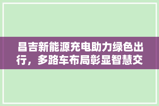 昌吉新能源充电助力绿色出行，多路车布局彰显智慧交通新蓝图