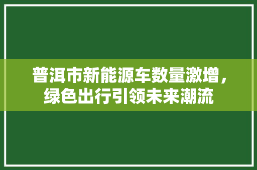 普洱市新能源车数量激增，绿色出行引领未来潮流