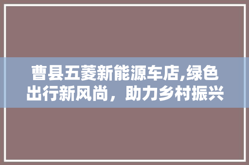 曹县五菱新能源车店,绿色出行新风尚，助力乡村振兴