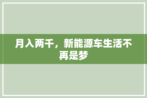 月入两千，新能源车生活不再是梦