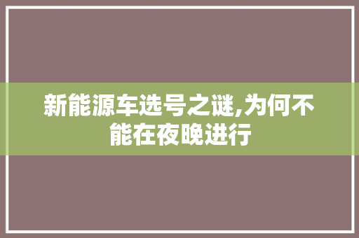 新能源车选号之谜,为何不能在夜晚进行
