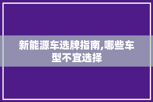 新能源车选牌指南,哪些车型不宜选择