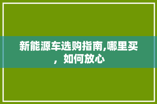 新能源车选购指南,哪里买，如何放心